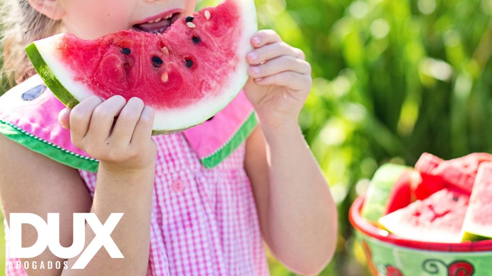 ¿Quieres saber más acerca del impago de la pensión de alimentos en Valencia? En este artículo te lo contamos. Abogados Especialistas.