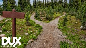 ¿Necesitas una guía completa sobre la servidumbre de paso? En este artículo te la proporcionamos. Abogados Especializados.