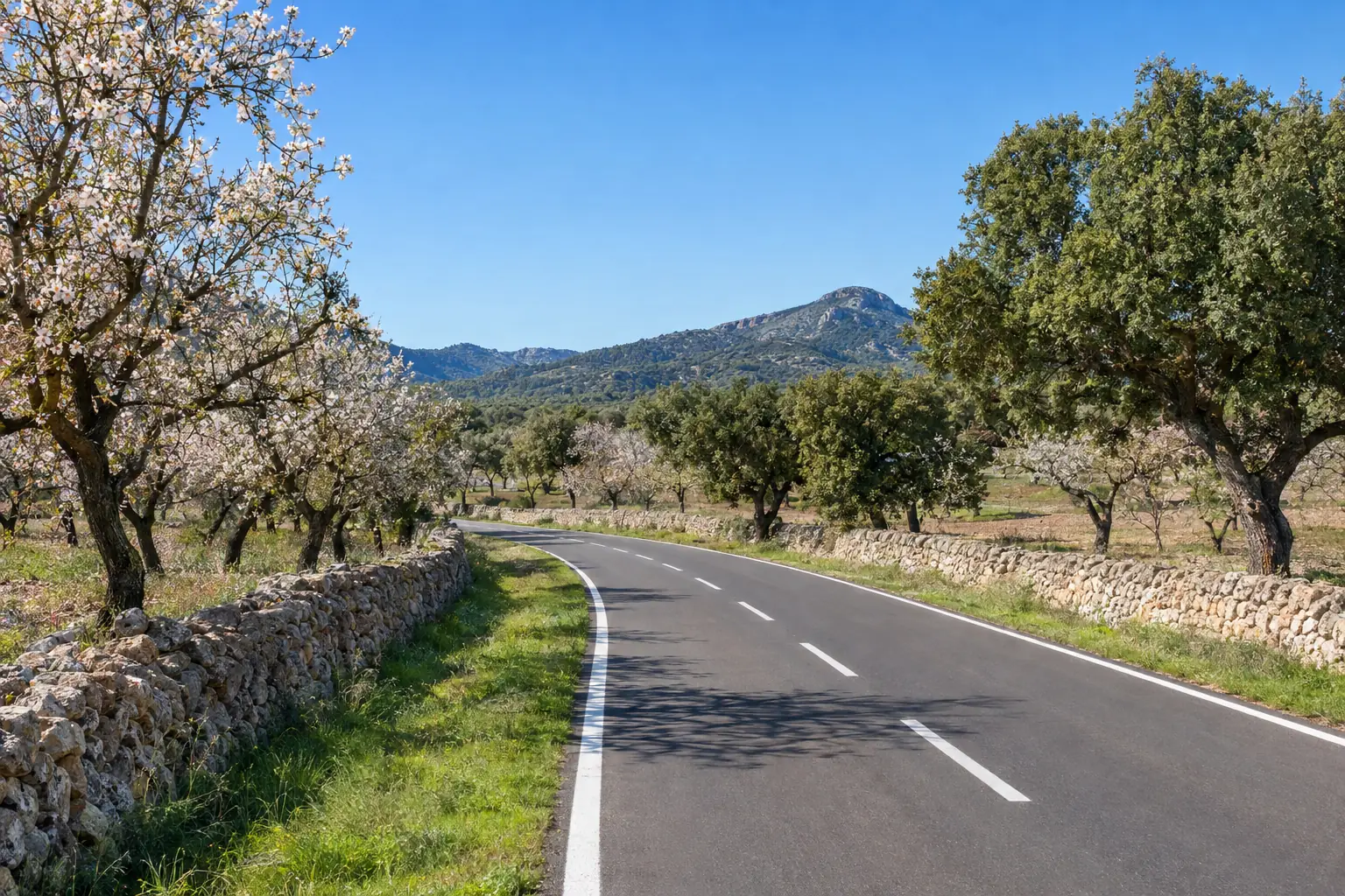 Lee más sobre el artículo Indemnización en Accidentes de Tráfico en España